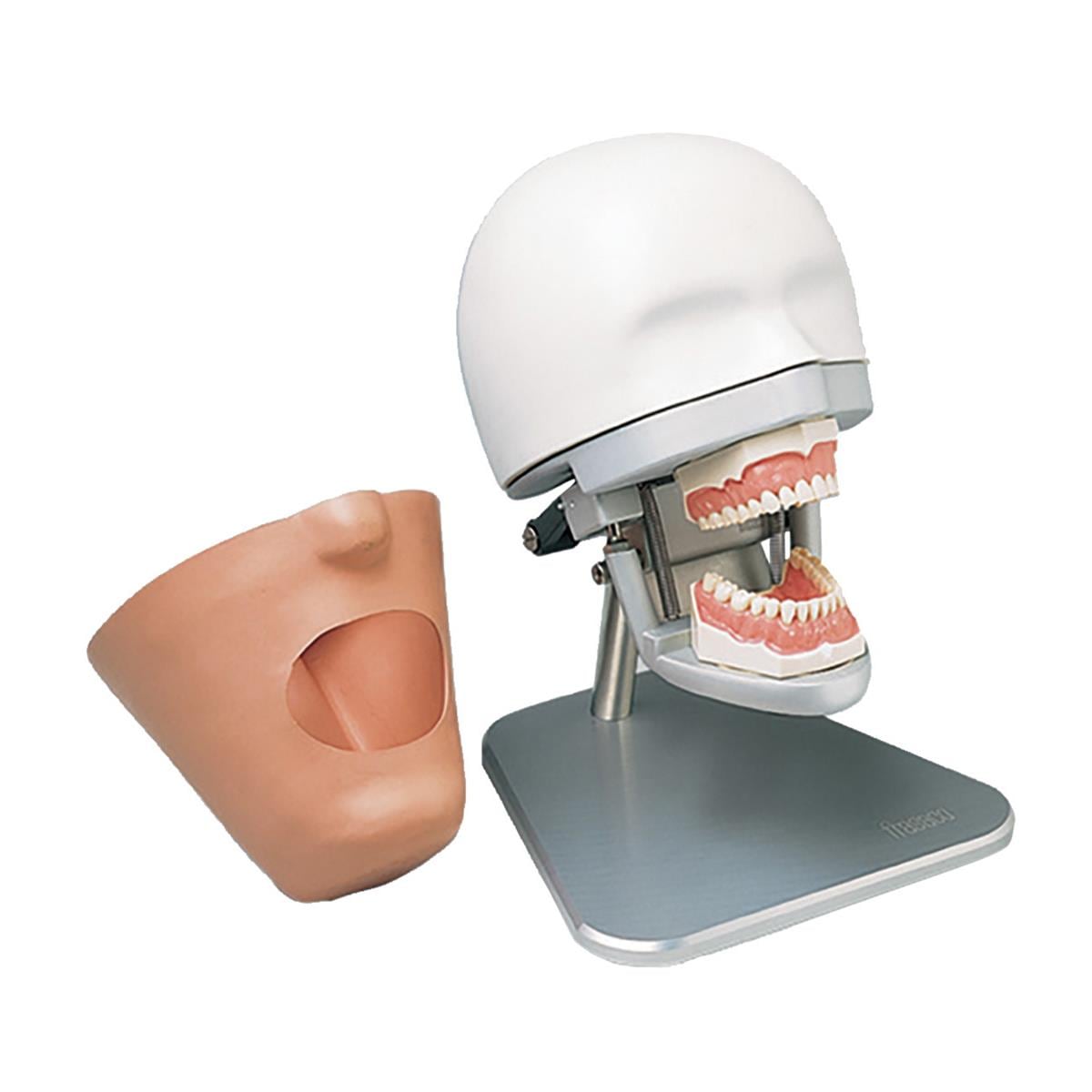 Dental Exercise Unit complete with Phantom Head P-